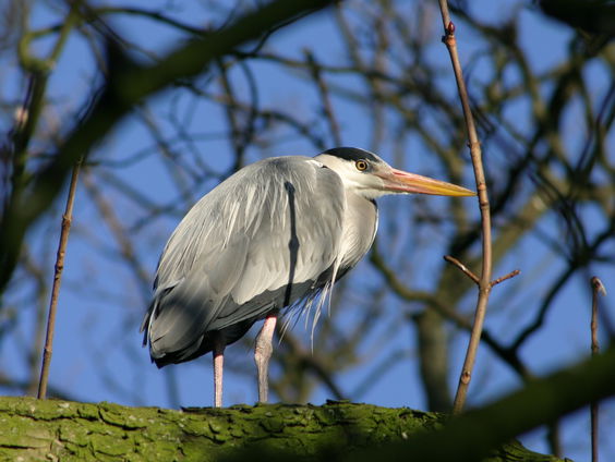 De stad, veel meer dan alleen de plek waar mensen wonen!