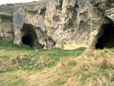 Ode aan het Nederlandse landschap: Limburgse Heuvelland