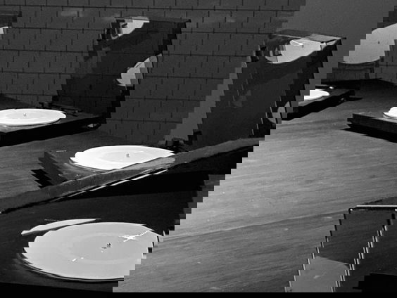 Machinery of Me: het protestgeluid van vogels