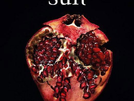 Vandaag in 2020: nieuw Twilight-boek op de markt