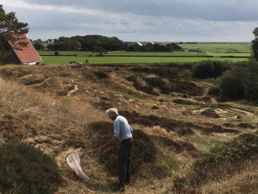 De zandkuil: het oudste insectenreservaat van Nederland