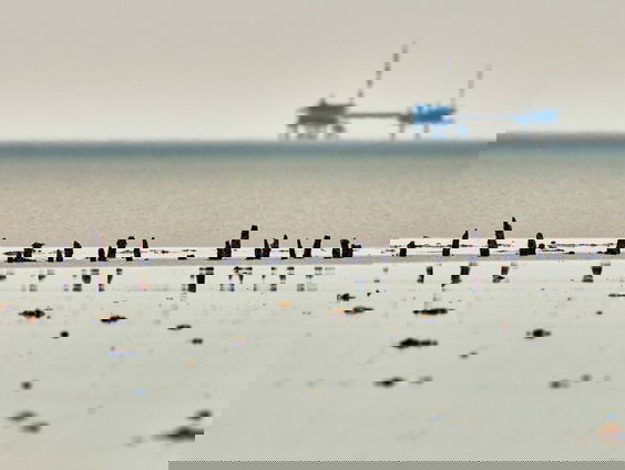 Menno Snel over de hoge belastingen voor olie- en gasbedrijven