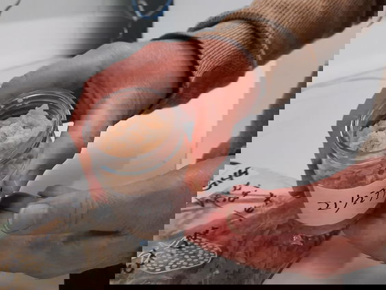 Vis uit de Westerschelde zit vol PFAS