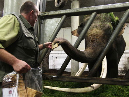 Verhalen van Spraakmakers: Dierverzorgers in Coronatijd