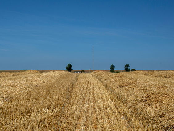 Voorland Groningen deel 1: Hornhuizen
