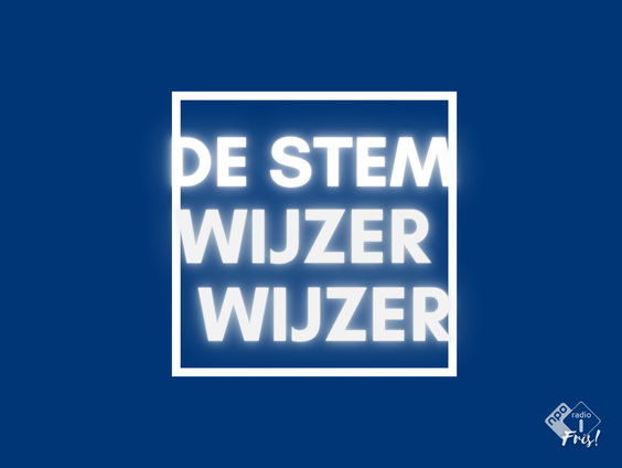 De Stemwijzer-wijzer van Fris!