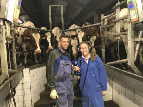 Melken op Kaasmakerij Captijn LIVE 2/3