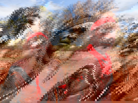 Australische regering geeft groot stuk land terug aan oorspronkelijke bewoners