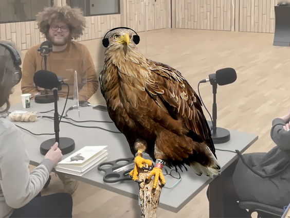 Mooiste natuurbeelden en een nieuwe dierenpodcast bij Vroege Vogels