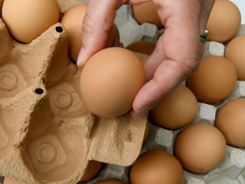 Hoeveel schade heeft fipronil aangericht?
