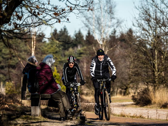 Stand.nl: Recreanten hebben te weinig respect voor de natuur