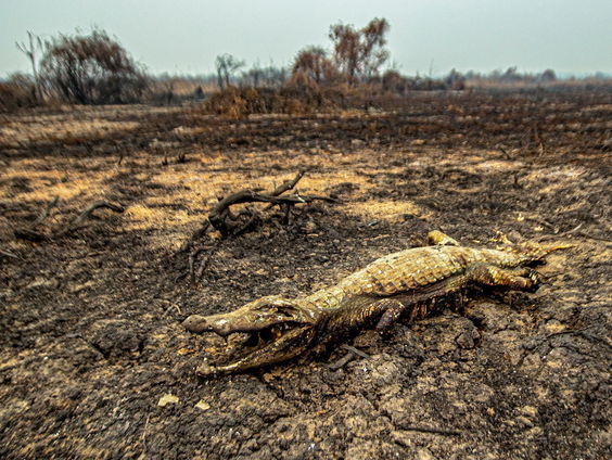 Het natste stukje aarde staat in lichterlaaie