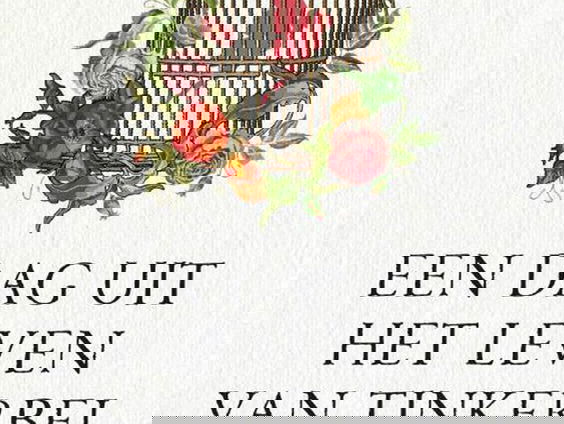 'Een dag uit het leven van Tinkerbel: Imke Gilsing over haar psychose