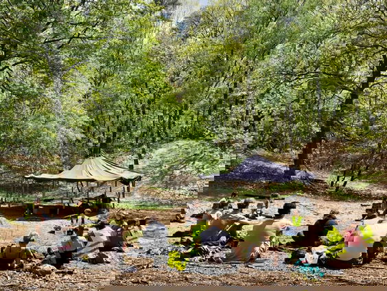 Universitair spoorzoeken: studenten verbinden met de natuur