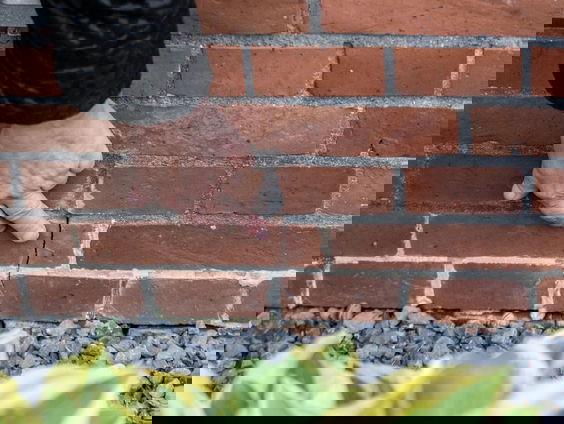 Collectieve schaderegelingen schieten doel vaak voorbij