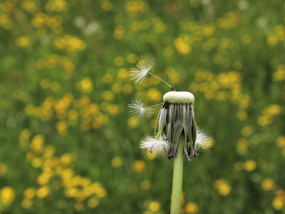 Schrijver Frank Krake was te gast en vertelde ons over sektes in Nederland