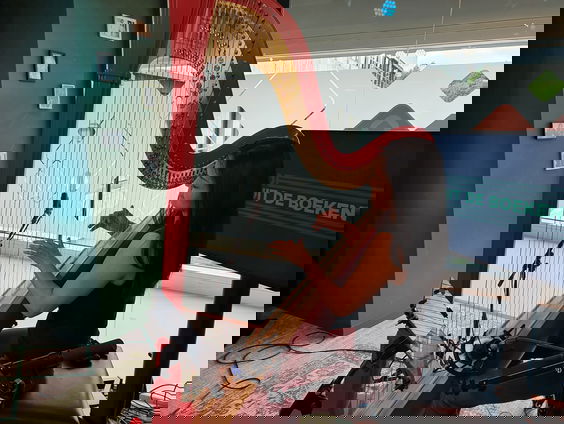 Een Goed Stel: Lavinia Meijer over de liefde voor haar rode harp