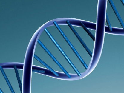 Stand.nl: Het DNA van alle Nederlanders moet in een databank worden opgeslagen