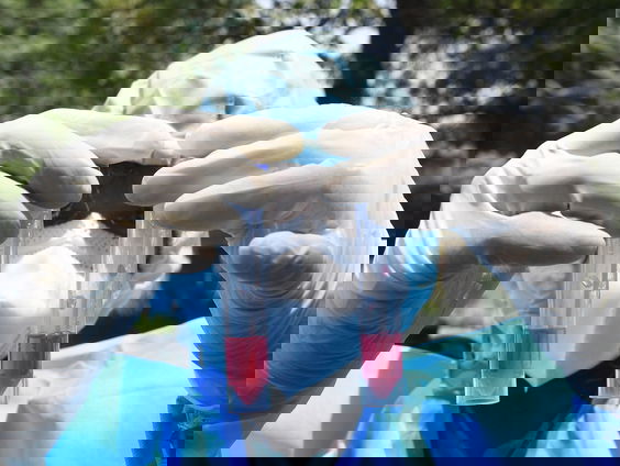 Feit of Fictie: hoe lang weten we al dat virussen bestaan?