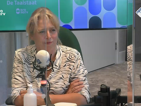 De schrijftaal van Peter R. de Vries