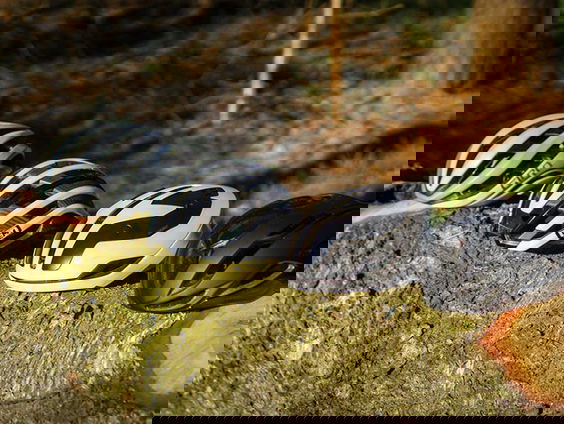 Traumachirurg pleit voor helmplicht: 'Veel fietsers en scootmobilisten lopen ernstig hoofdletsel op'