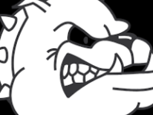 vechthonden: bijtend probleem