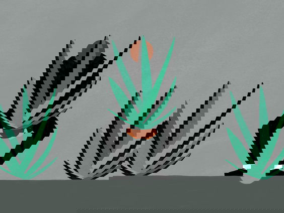 De duistere wereld van groene smokkel