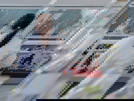 Terug naar Toen: In 2003 overlijdt het gekloonde schaap Dolly