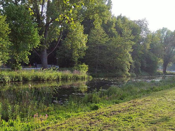 Bermen knuffelen door slimmer te maaien