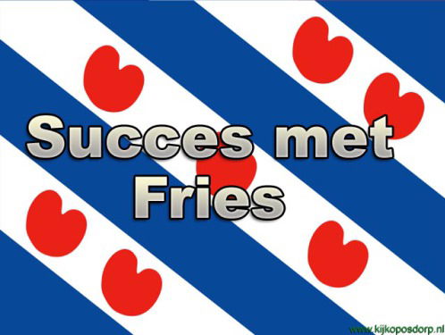 Het laatste examen van 2017: Fries!