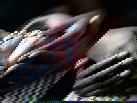 Wat je voornaam zegt over hoe andere mensen over je denken