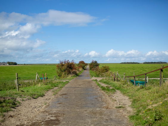 Voorland Groningen deel 3: Usquert