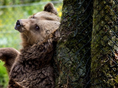 Jeuk is besmettelijk