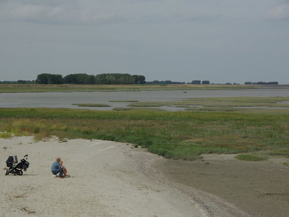 Natuur bij dijken heeft levens gered