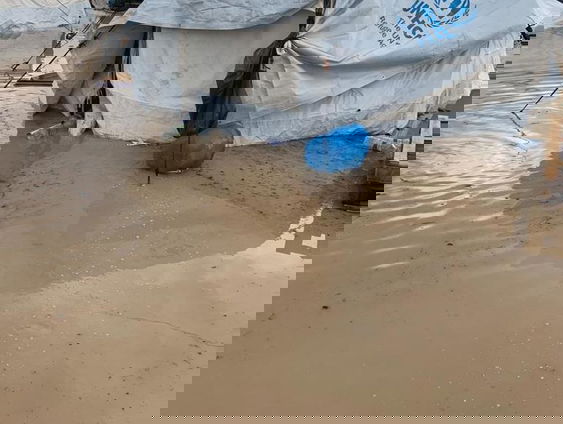 Tineke Ceelen over de 'vergeten' vluchtelingen