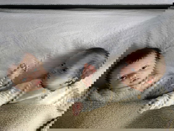 Internationaal onderzoek naar tweelingen