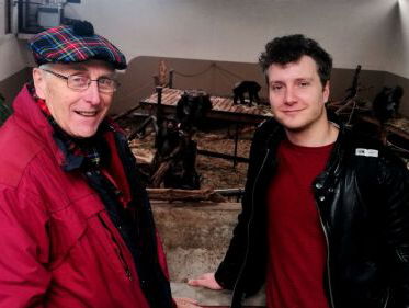 Reinout voert chimpansees