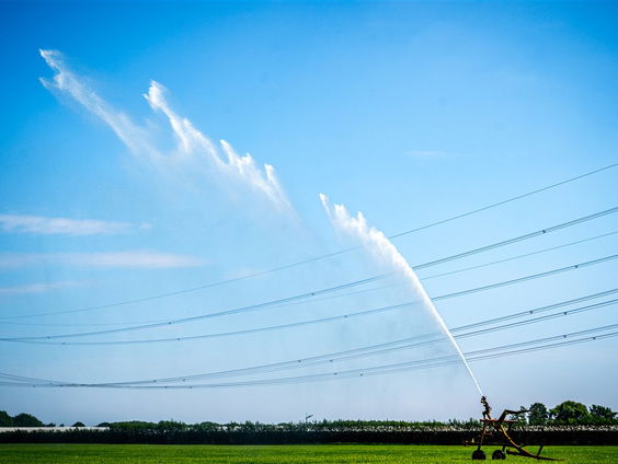 Grootste droogte in ruim 40 jaar