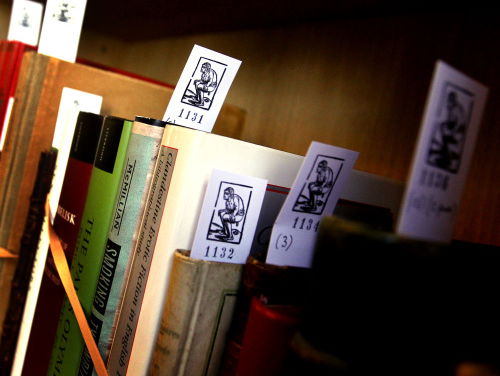 Brusseprijs: De Vreemdeling in de tuin