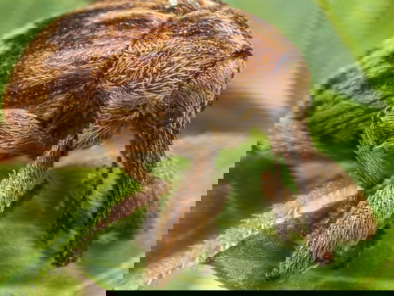 Elke boorder heeft haar eigen noot