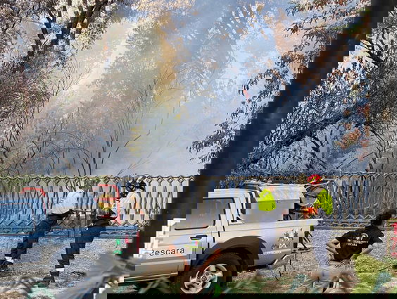 Bosbranden in Italië: 'Het hele natuurgebied is in de as gelegd.'