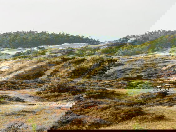 Waar kun je nog coronaproof van het mooie weer genieten?