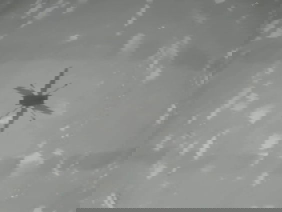 Planeetwetenschapper over Mars-helikoptertje: 'heel knap;