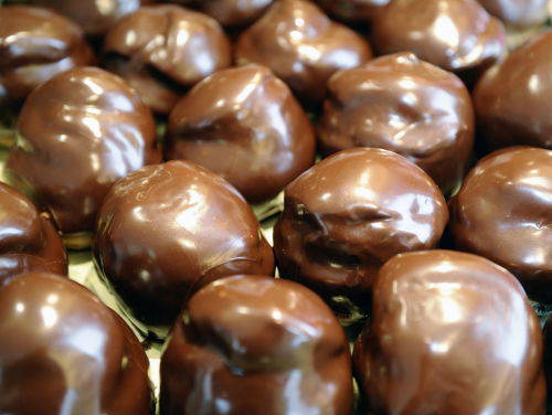 De Bossche Bol in nieuw jasje