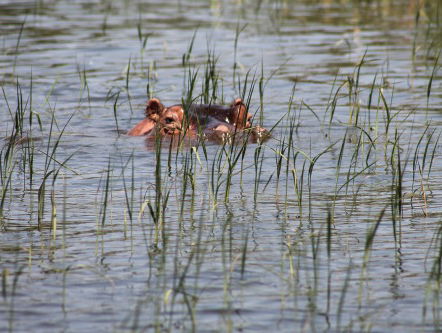 Auke Boere over het coronavirus in Ethiopie