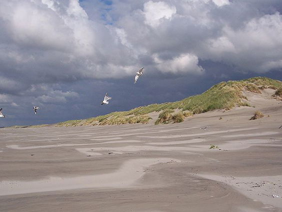 Lekker weg in eigen (ei)land