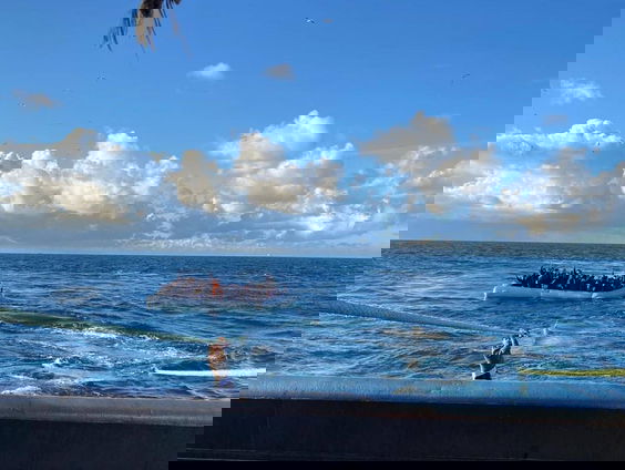 Nederlandse kotter treft rubberboot vol migranten op Kanaal