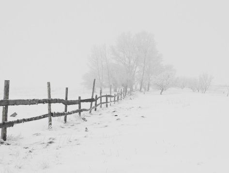 Reportage kou Duitsland