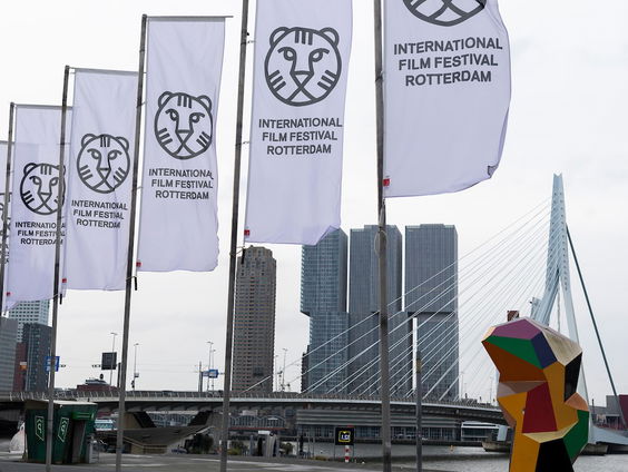 Historische filmtips voor het IFFR