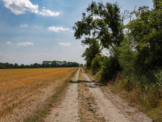 Voorland Groningen deel 2: Loppersum